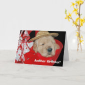 het puppy van het verjaardagsgolden retriever kaart (Gele Bloem)