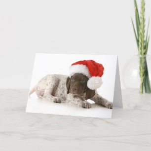 Het Puppy van Kerstmis - Duitse Kortharige Wijzer Feestdagen Kaart