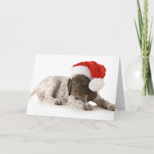 Het Puppy van Kerstmis - Duitse Kortharige Wijzer Feestdagen Kaart (Voorkant)