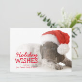 Het Puppy van Kerstmis - Duitse Kortharige Wijzer Feestdagenkaart (Staand voorkant)