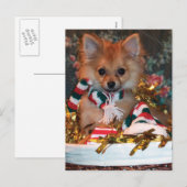 Het Puppy van Kerstmis Feestdagenkaart (Voorkant / Achterkant)