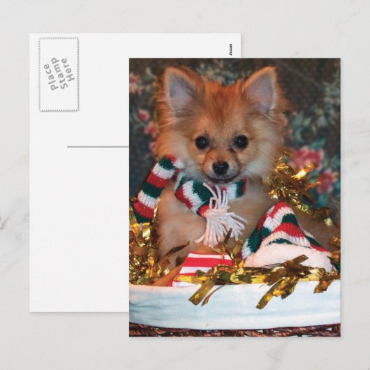 Het Puppy van Kerstmis Feestdagenkaart (Voorkant / Achterkant)