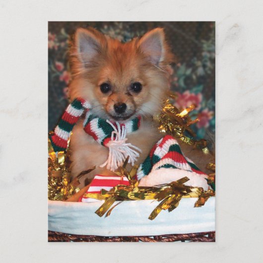 Het Puppy van Kerstmis Feestdagenkaart (Voorkant)