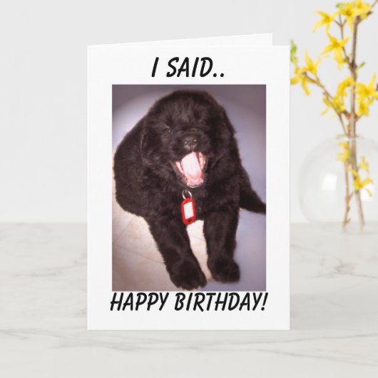 Het Puppy van Newfoundland van de Kaart van de (Gele Bloem)