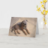 Het Puppy van Terrier van de grens Kaart (Gele Bloem)