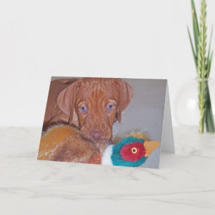 Het Puppy van Vizsla met het Wenskaart van de Kaart