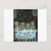 Het "puppy" van Weimaraner van Kerstmis Feestdagenkaart (Voorkant)