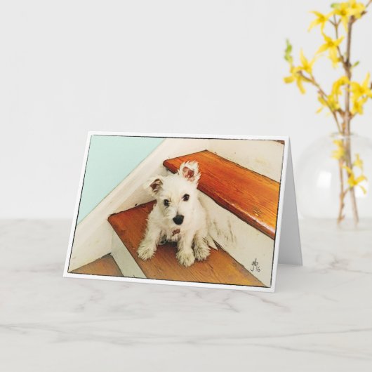 Het Puppy van Westie bij het Denken van de Stap Kaart (Gele Bloem)