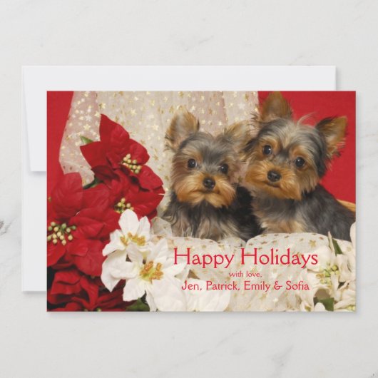 Het "puppy" van Yorkie met Poinsettia Feestdagenkaart (Voorkant)
