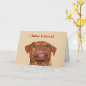 Het puppyverjaardag van Pitbull Kaart (Gele Bloem)