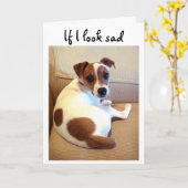 Het puppywenskaart van Jack Russell Terrier Kaart (Gele Bloem)