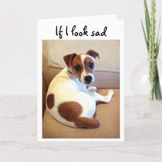 Het puppywenskaart van Jack Russell Terrier Kaart