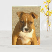 Het puppywenskaart van Pitbull Kaart (Gele Bloem)