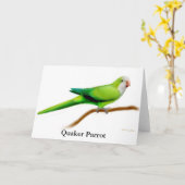Het quaker Wenskaart van de Papegaai Kaart (Gele Bloem)
