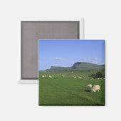 Het Quiraing-gebergte, eiland Skye, Hoogland, Magneet (Voorkant / Achterkant)