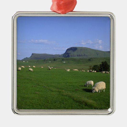 Het Quiraing-gebergte, eiland Skye, Hoogland, Metalen Ornament (Voorkant)