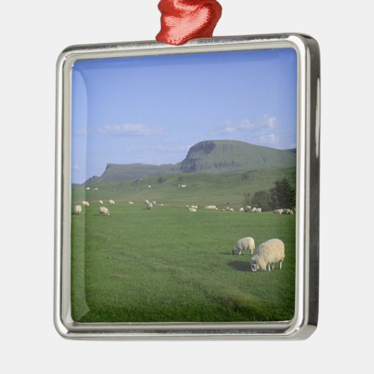 Het Quiraing-gebergte, eiland Skye, Hoogland, Metalen Ornament (Links)