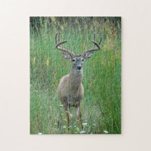 Het Raadsel van de Bok van Whitetail Legpuzzel
