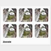 Het raam van de natuur vierkante sticker (Vel)