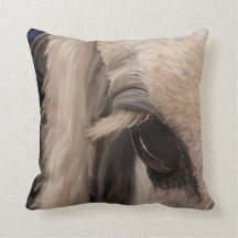 Het raam van de ziel