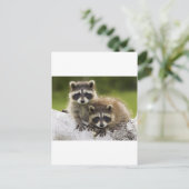 Het Raccoon Couple Briefkaart (Staand voorkant)