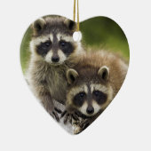 Het Raccoon Couple Keramisch Ornament (Rechts)