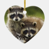 Het Raccoon Couple Keramisch Ornament (Voorkant)