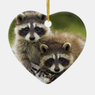 Het Raccoon Couple Keramisch Ornament