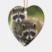 Het Raccoon Couple Keramisch Ornament (Links)