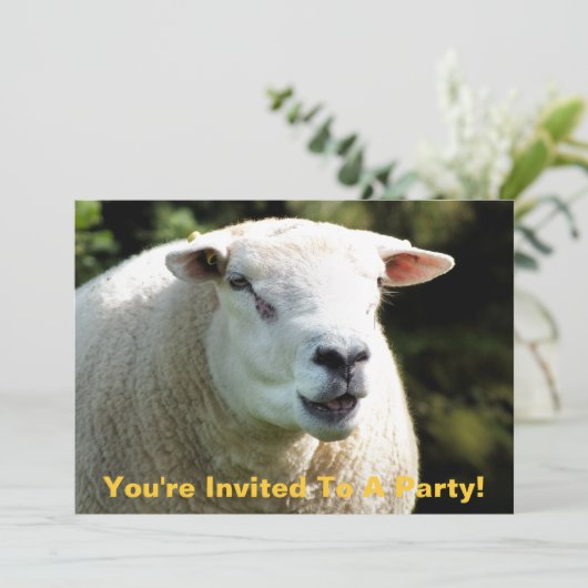 HET RAM KAART (Staand voorkant)