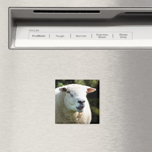 HET RAM MAGNEET (Insitu (Vaatwasser))