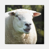 HET RAM MAGNEET (Voorkant)