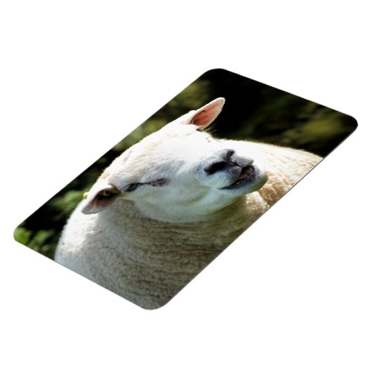 HET RAM MAGNEET (Linkerzijde)