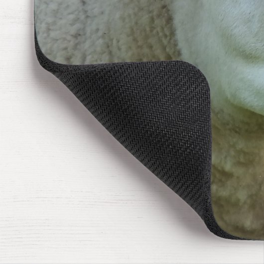 HET RAM MUISMAT (Hoek)