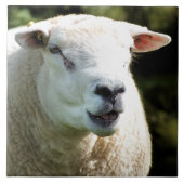 HET RAM TEGELTJE (Voorkant)