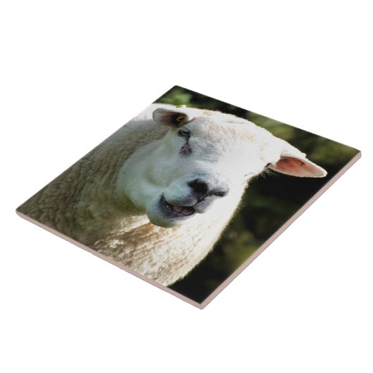 HET RAM TEGELTJE (Zijkant)