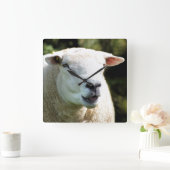 HET RAM VIERKANTE KLOK (Huis)