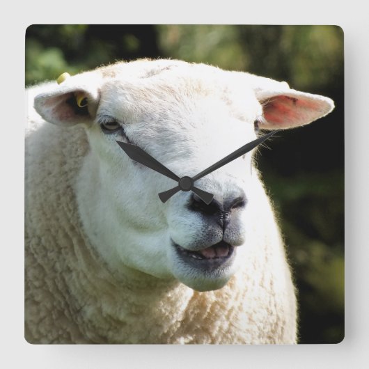 HET RAM VIERKANTE KLOK (Voorkant)