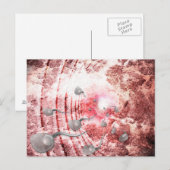 Het ras voor het leven briefkaart (Voorkant / Achterkant)