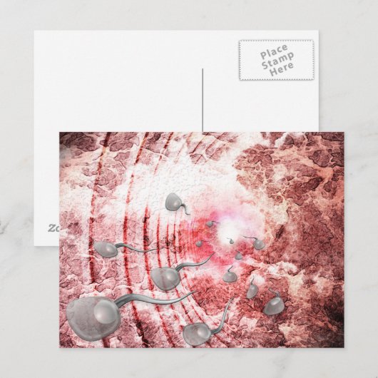 Het ras voor het leven briefkaart (Voorkant / Achterkant)