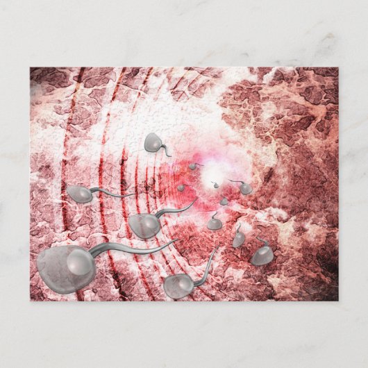 Het ras voor het leven briefkaart (Voorkant)