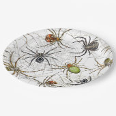 Het realistische Web Pattern van Spinnen Papieren Bordje (Gekanteld)