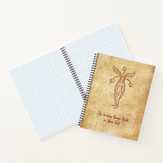Het receptenboek van de heks met Mandrake Notitieboek (Binnen)