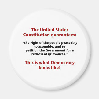 Het recht op vergadering - hoe ziet democratie eru magneet