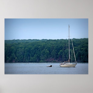 Het reddingsplan poster