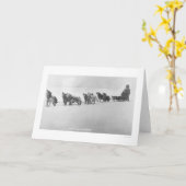 Het Refrein Alaska 1920 van Malamute Kaart (Gele Bloem)