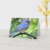 Het regenachtige Wenskaart van de Sialia van de Kaart (Gele Bloem)