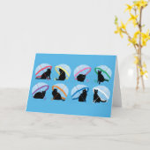 Het regenende van Katten 'Wenskaart van n- Katten Kaart (Gele Bloem)