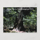 Het regenwoud 1965 briefkaart (Voorkant)
