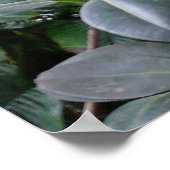 Het regenwoud poster (Hoek)